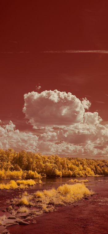 landscape, cumulus Wallpaper 828x1792