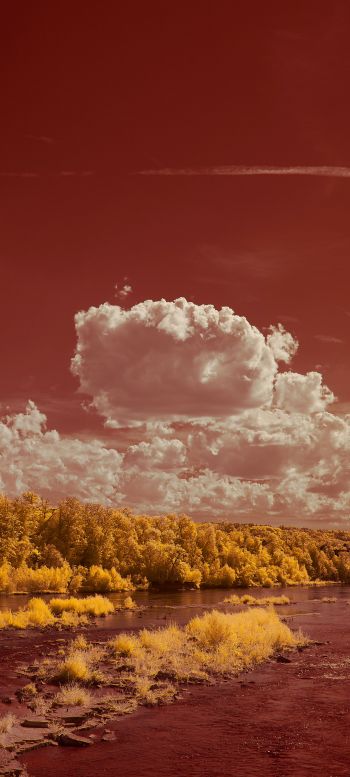 Обои 1440x3200 пейзаж, кучевые облака