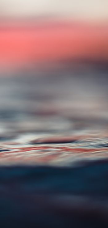 sunset, sea Wallpaper 1440x3040