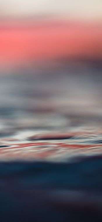 sunset, sea Wallpaper 1242x2688