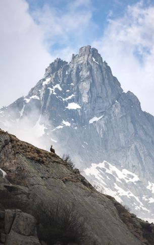 Italy, mountain Wallpaper 1752x2800