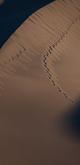 sand dunes Wallpaper 1440x2960