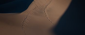 Обои 3440x1440 песчаные дюны