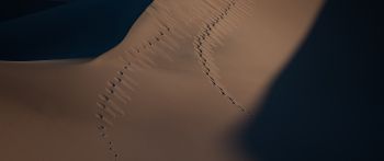 Обои 2560x1080 песчаные дюны