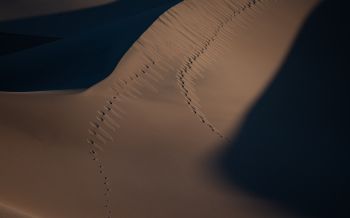Обои 2560x1600 песчаные дюны
