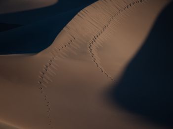 Обои 1024x768 песчаные дюны