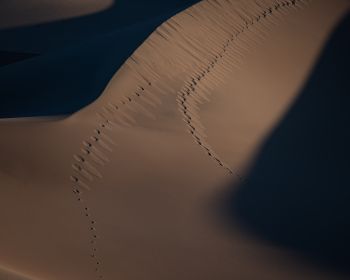 Обои 1280x1024 песчаные дюны