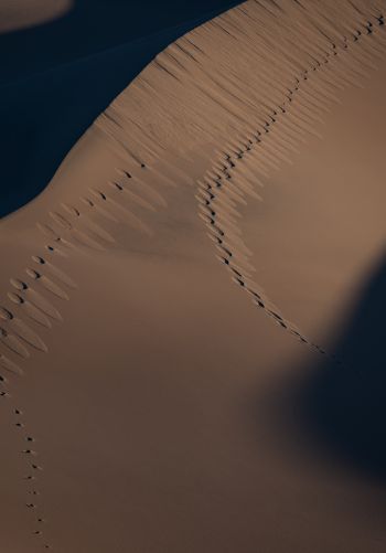 Обои 1668x2388 песчаные дюны