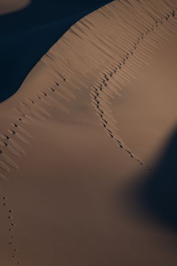 Обои 640x960 песчаные дюны