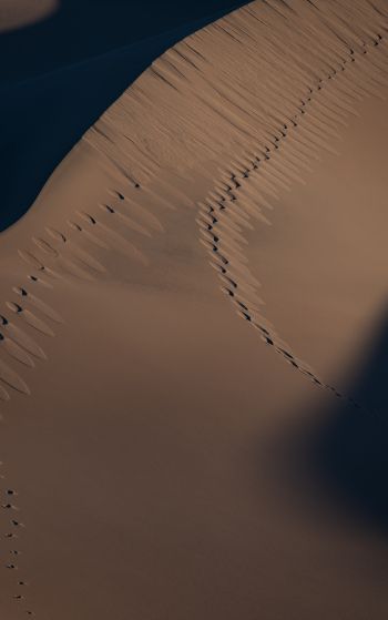 Обои 1752x2800 песчаные дюны