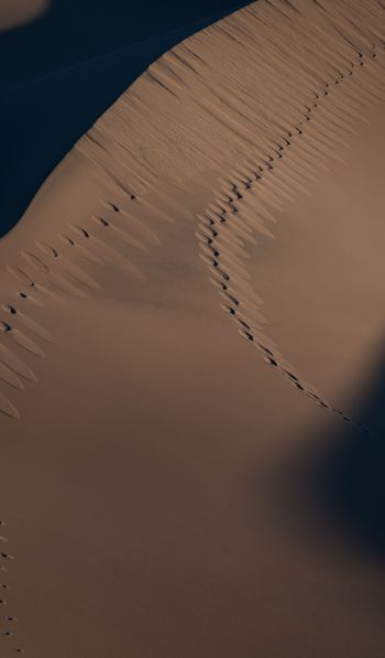 Обои 600x1024 песчаные дюны