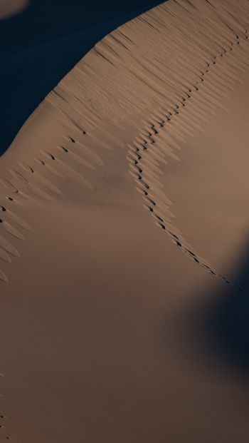 Обои 640x1136 песчаные дюны