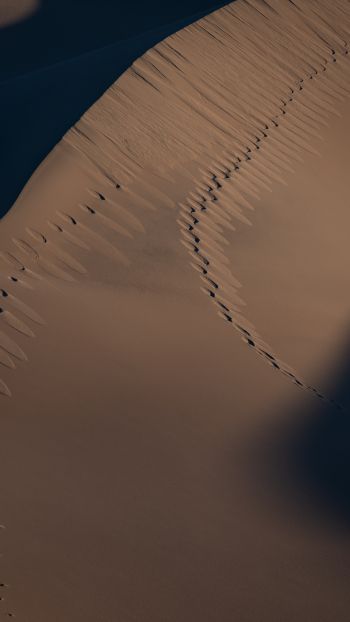 Обои 1080x1920 песчаные дюны