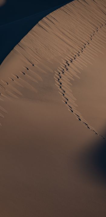 sand dunes Wallpaper 1440x2960
