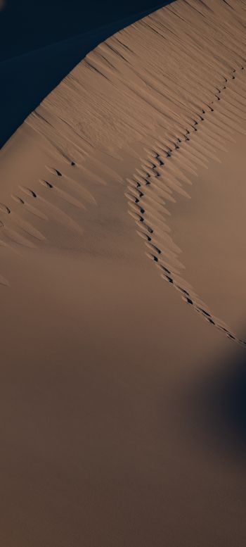 sand dunes Wallpaper 1440x3200