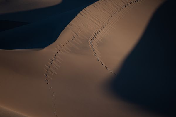 sand dunes Wallpaper 7952x5304