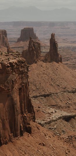 Desert Wallpaper 1080x2220