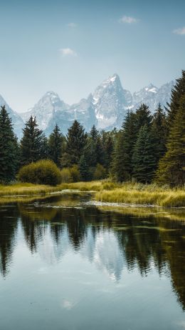 Lake in the forest Wallpaper 750x1334