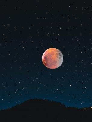 moon, stars, night Wallpaper 1668x2224