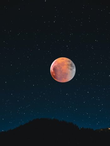 moon, stars, night Wallpaper 2048x2732