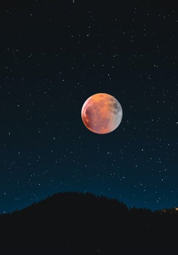 moon, stars, night Wallpaper 1668x2388