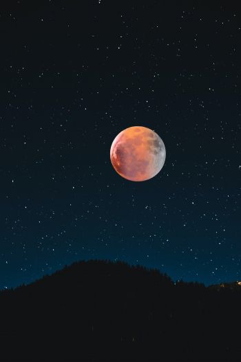 moon, stars, night Wallpaper 640x960