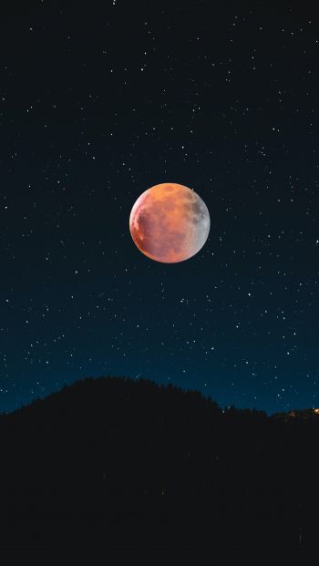 moon, stars, night Wallpaper 640x1136