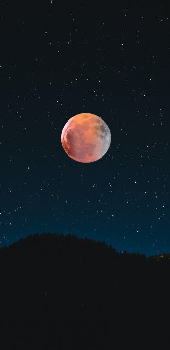 moon, stars, night Wallpaper 1080x2220