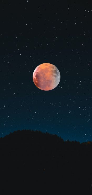 moon, stars, night Wallpaper 1080x2280
