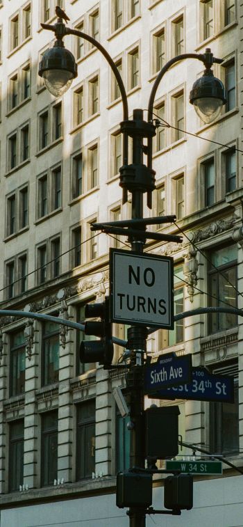 USA, street, traffic light Wallpaper 828x1792