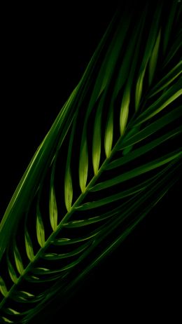 green, black Wallpaper 720x1280