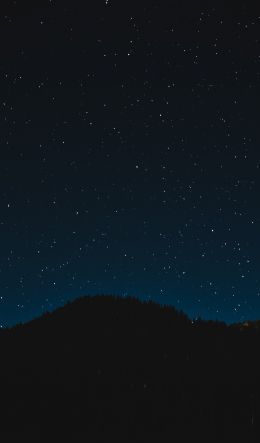 starry sky, night, black Wallpaper 600x1024