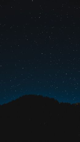 Обои 640x1136 звездное небо, ночь, черный