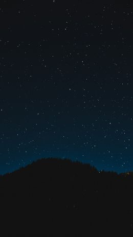 starry sky, night, black Wallpaper 640x1136