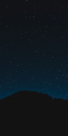 starry sky, night, black Wallpaper 720x1440