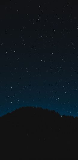 starry sky, night, black Wallpaper 1440x2960