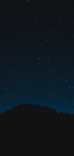 starry sky, night, black Wallpaper 1440x3040