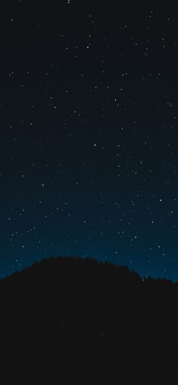 starry sky, night, black Wallpaper 828x1792