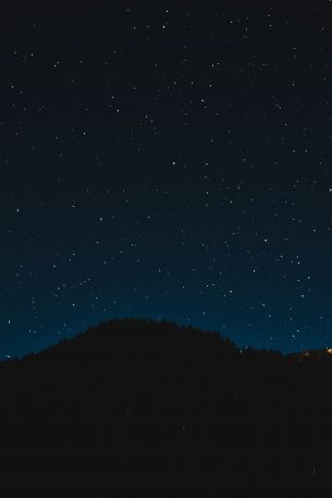 starry sky, night, black Wallpaper 640x960