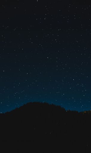 starry sky, night, black Wallpaper 1200x2000