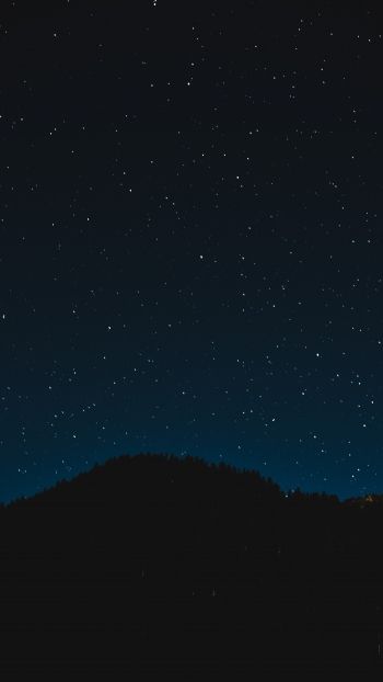 Обои 1440x2560 звездное небо, ночь, черный