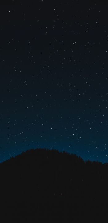 Обои 1440x2960 звездное небо, ночь, черный