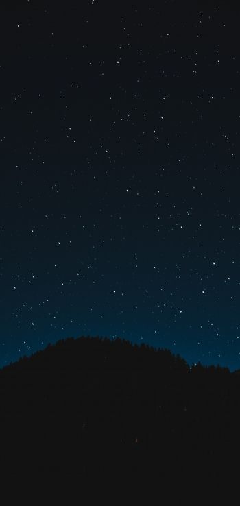 Обои 1440x3040 звездное небо, ночь, черный