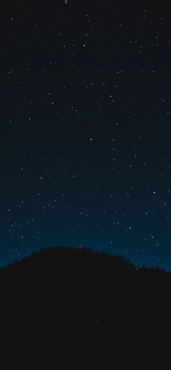 Обои 828x1792 звездное небо, ночь, черный