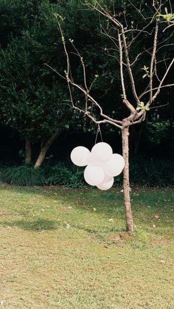 tree with balloons Wallpaper 2160x3840