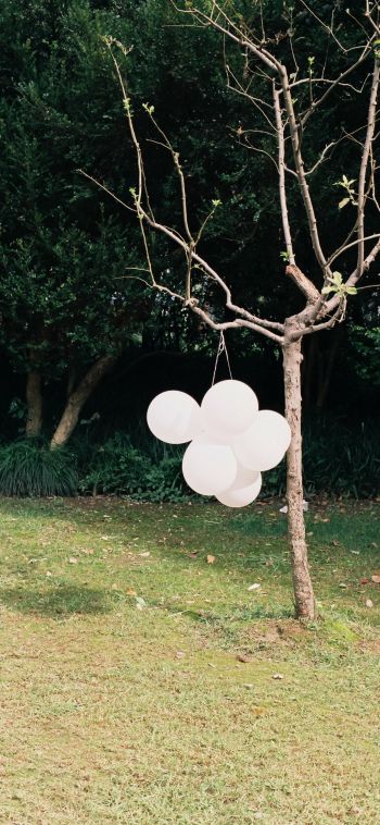 tree with balloons Wallpaper 1080x2340