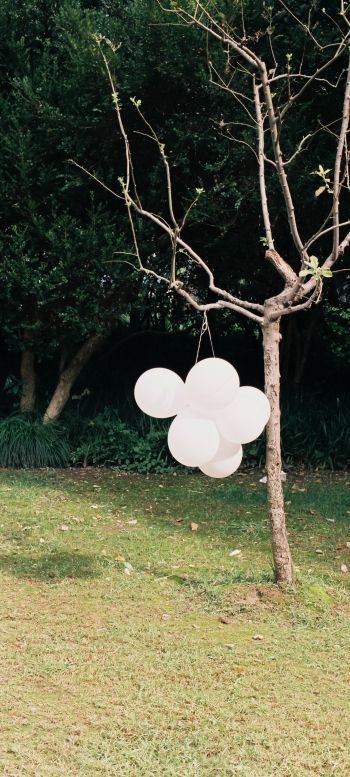 tree with balloons Wallpaper 720x1600
