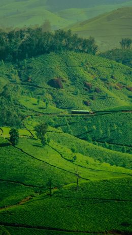 landscape, green, hills Wallpaper 1440x2560