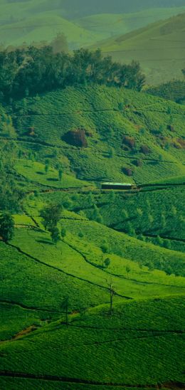 landscape, green, hills Wallpaper 1080x2280