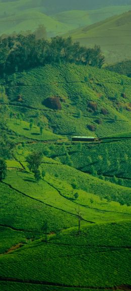 landscape, green, hills Wallpaper 1440x3200